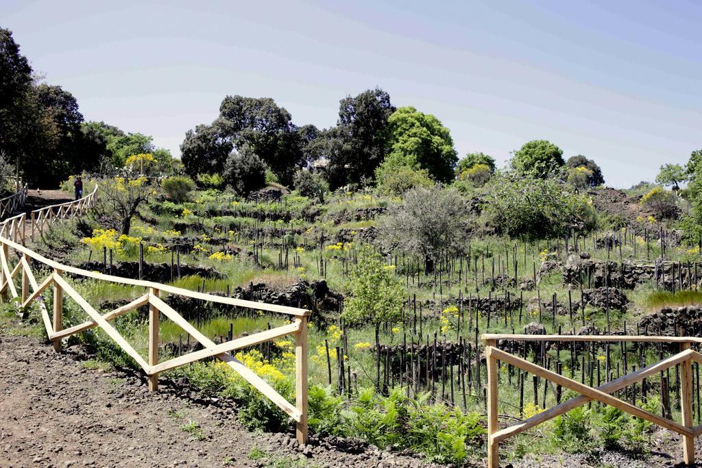 Ecoagriturismo Notti Stellate Etna Mare Mascali Extérieur photo